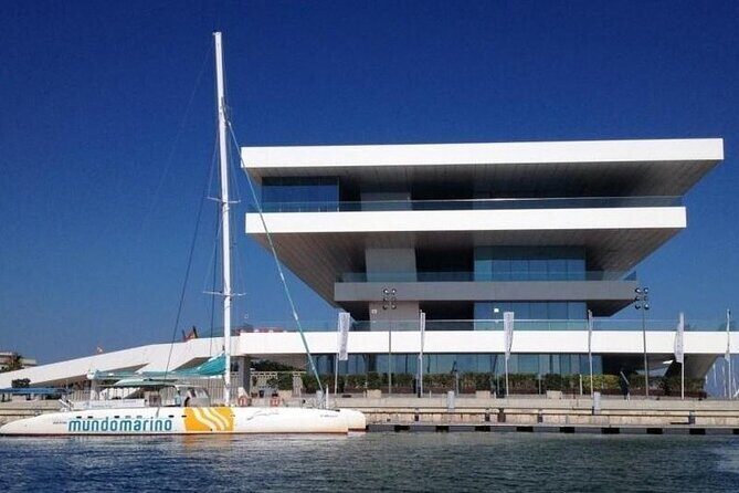 1 Hour Sailing Excursion in Valencia - What the Catamaran Experience Feels Like On Board