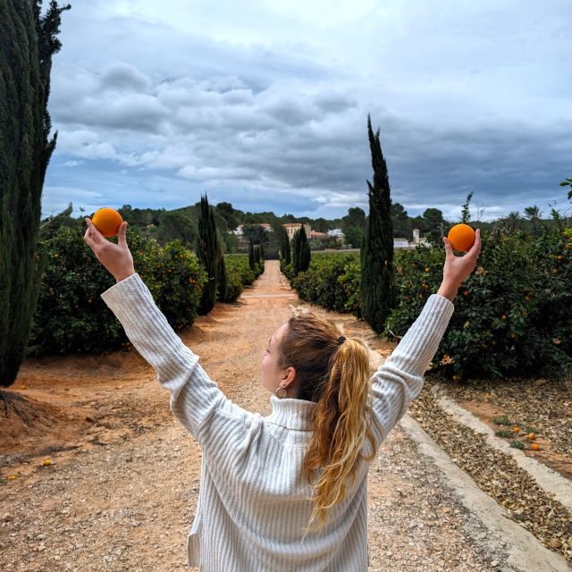 Citrus Treasures: Exploring Valencia's Orange Grove - Transportation, group size, and what that means for your day