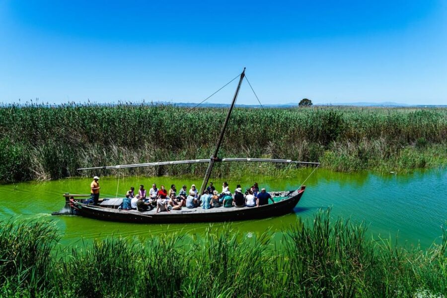 From Valencia: Albufera Private Tour, Paella & Boat Ride - Estany del Pujol: the lake edge walk and the story of barracas