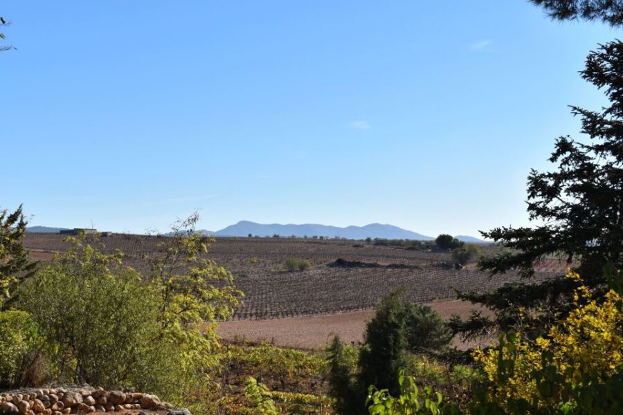 From Valencia: Guided Cheese Factory Tour with Wine Tasting - Vera de Estenas Winery on the Hill: Vineyards, Edu’s Teaching, and a Tasting With Local Sausages
