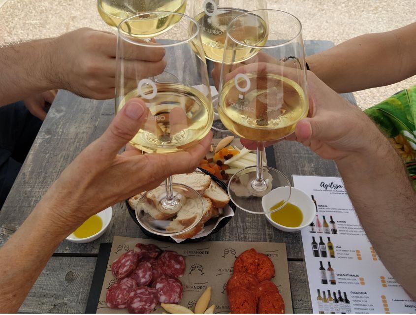 Small-Group Wine Tour from Valencia with Tastings Max 7 - Food pairing: cold meats, cheese, and the logic of Spanish tastings