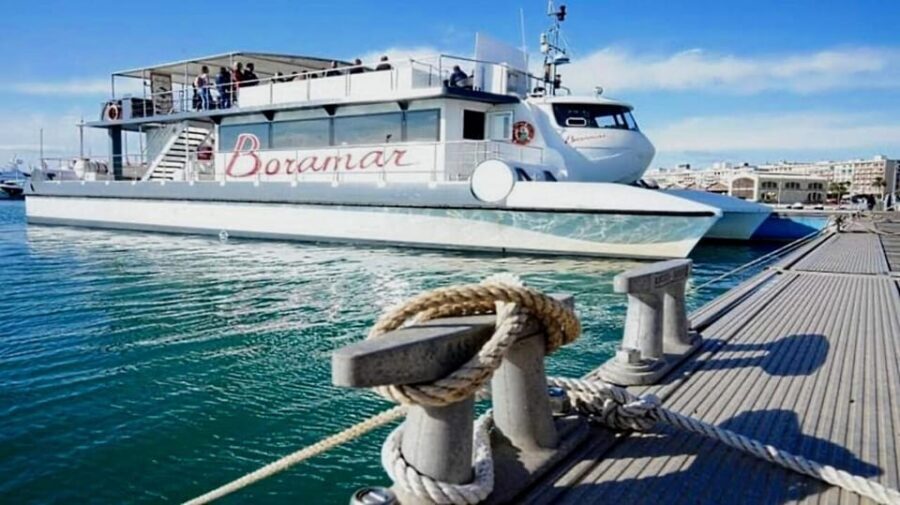 Valencia: Catamaran Cruise, Paella Lunch and Swim Stop - The boat experience: comfort, group size, and how it feels onboard