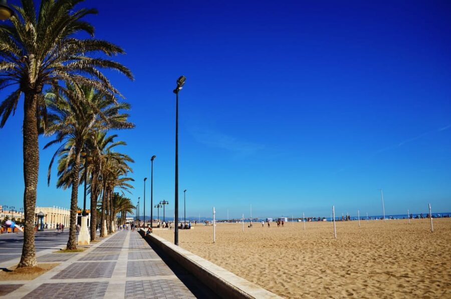 Valencia: Fantastic Segway Tour from the Center to the Beach - Turia Riverbed on wheels: the 30-minute garden corridor