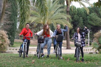 Valencia Guided Bike or E-Bike Tour in Small Group - Stop 5: Plaza de la Virgen for Valencia’s cultural mix