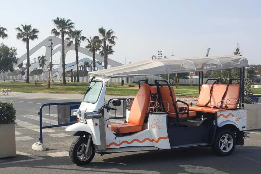 Valencia: Tuk Tuk City Tour - Price and Time: Does $44 Per Person Feel Like Value?